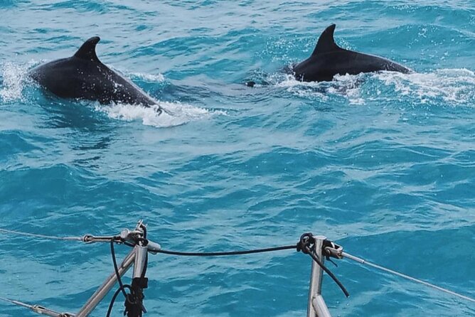 Full Day Sailing Tour Catania-Acitrezza - Final Thoughts