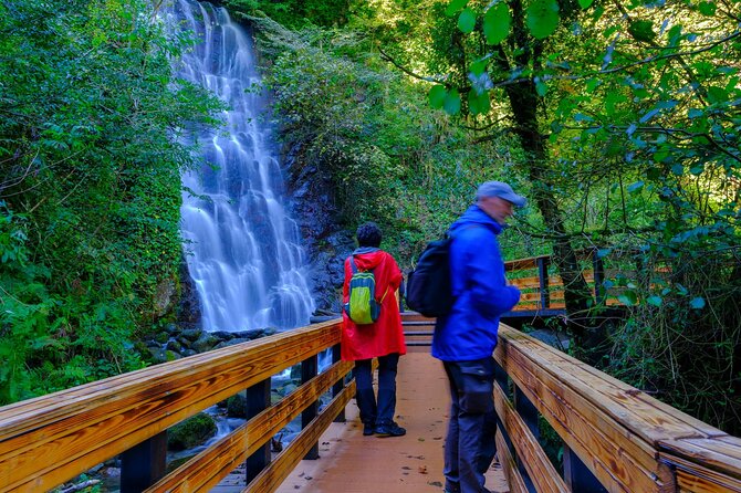 Full Day Tour From Batumi to Waterfalls - Frequently Asked Questions