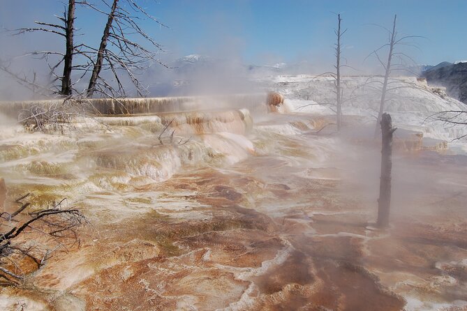 Full-Day Yellowstone Upper (Northern) Loop Tour - Final Thoughts