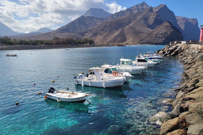 Full Private Tour of Gran Canaria with Natural Pools - Who Would Enjoy This Tour?