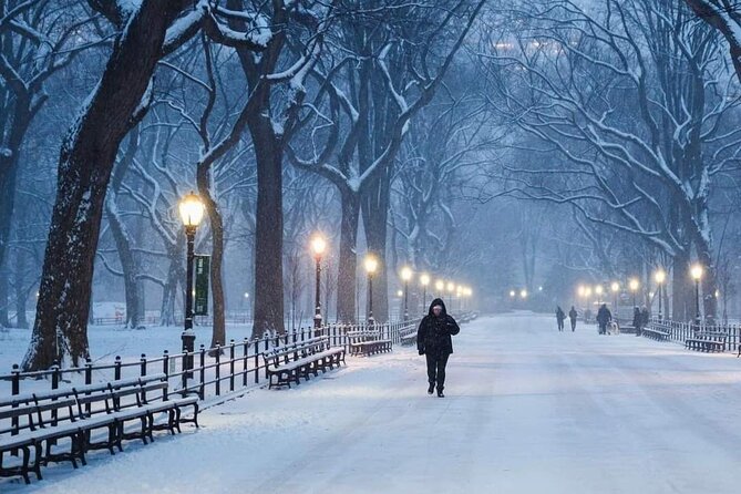 Guided Tour inside Central Park with Pedicab - Who Should Consider This Tour?