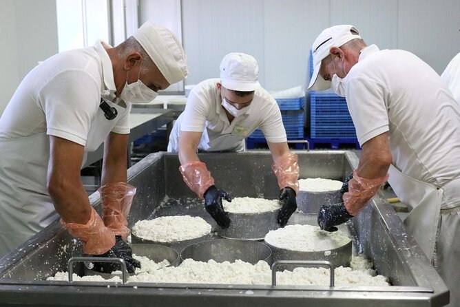 Guided Tour of Montesdeoca Cheese Factory with Cheese Tasting - FAQ