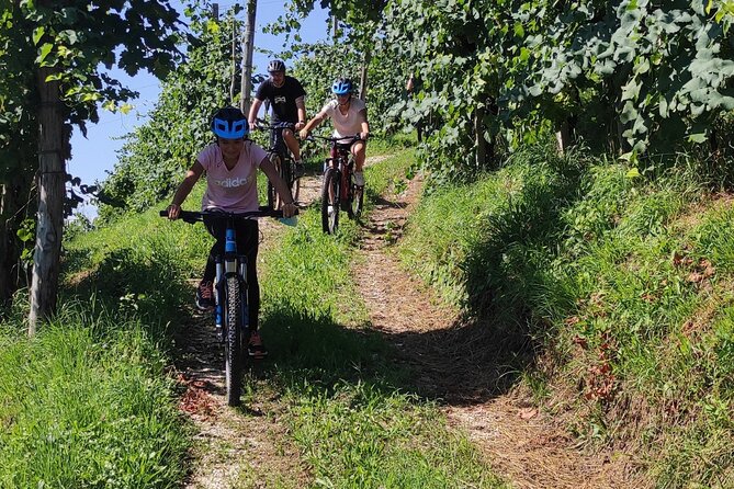 Half-Day E-Bike Tour in Prosecco Hills with Prosecco Tasting - Why This Tour is a Great Choice