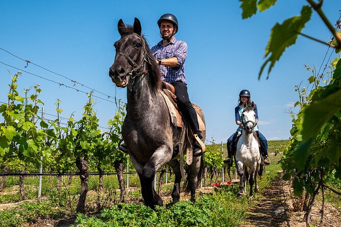 Half-Day of Horseback Adventure with Wine Tasting - Final Thoughts
