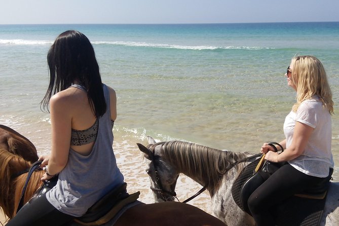 Horse Riding on the Beach Tour - Authentic Insights from Reviews