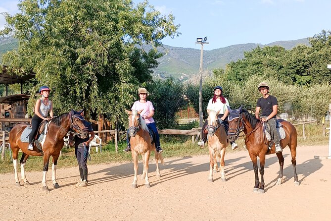 Horseback riding and aperitif 2 hours for beginners - The Sum Up