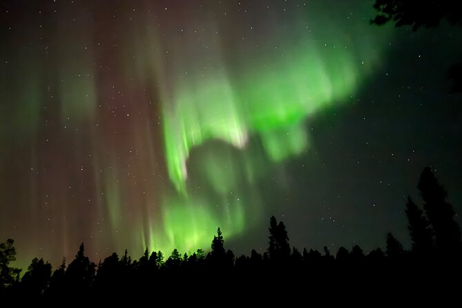 Husky Sled Ride Northern Lights Tour from Kiruna - Summary
