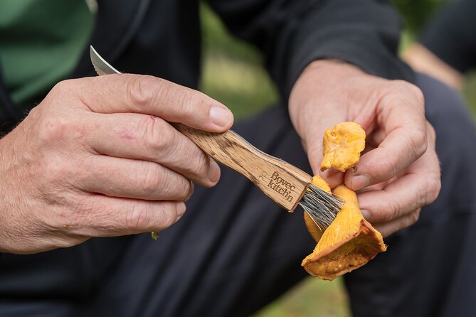 It Smells Like Mushrooms - Practical Tips for Travelers