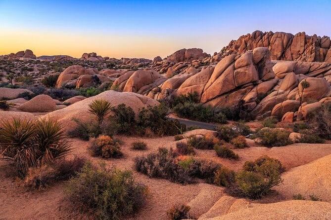 Joshua Tree's Hidden Valley Self-Guided Walking Tour - FAQ