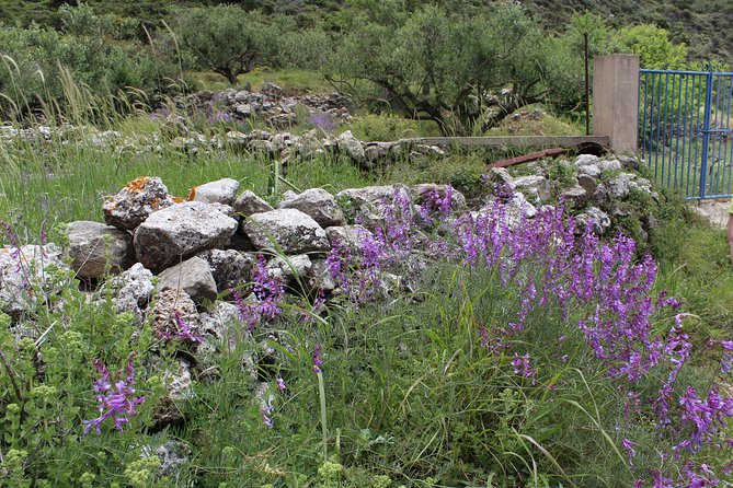 Karpathos Pini to Stes Mountain Village Guided Hike - The Sum Up: Is the Pini to Stes Mountain Village Hike Worth It?