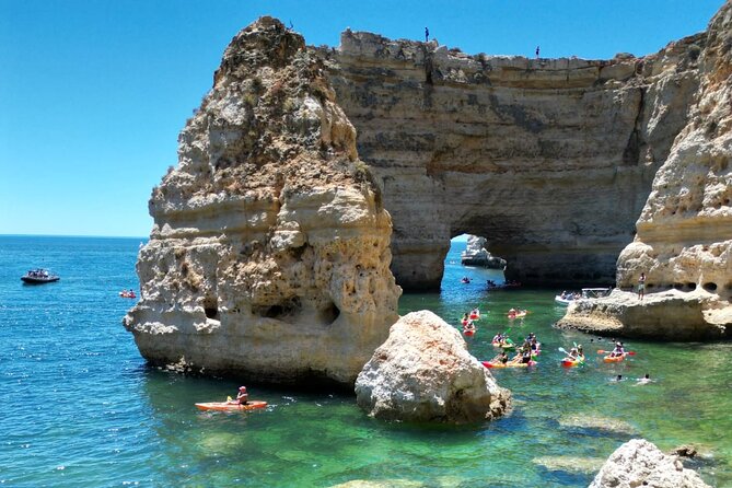 Kayak Experience with a Local - Final Thoughts: Is This Tour for You?