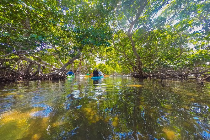 Key West Island Eco Tour with Transportation from Miami - Practical Considerations