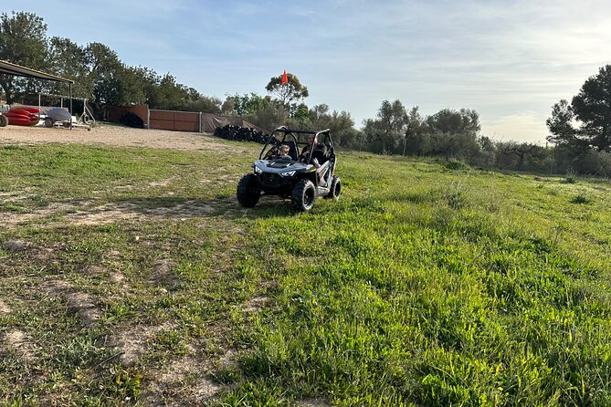 Kids Buggy Experience in Salou - The Sum Up  