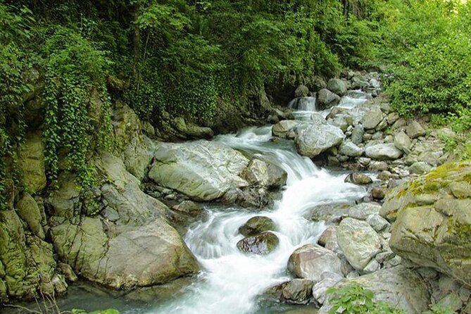 Lagodekhi - A day hiking from Tbilisi - Frequently Asked Questions