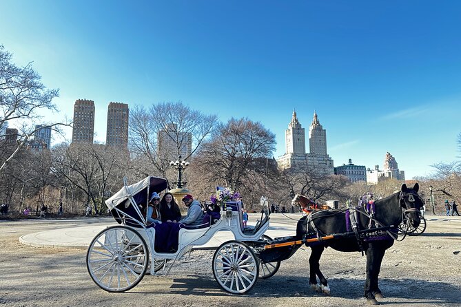 Luxury Horse and Carriage Tours in Central Park - FAQ