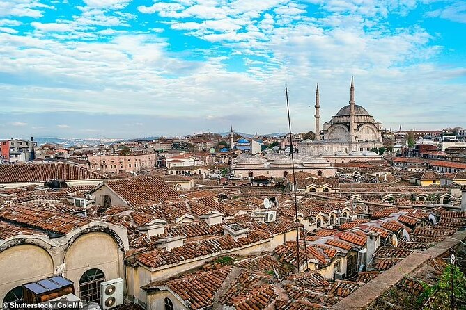 Majestic Istanbul: Walking Tour & Sunset Cruise on the Bosphorus - Who Should Consider This Tour?