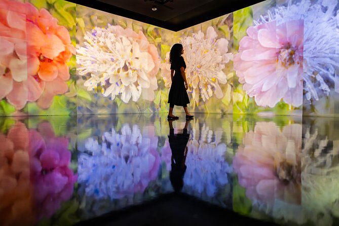 Miami Select Pass: Bus Tour, Celebrity Homes Cruise, Artechouse - The Sum Up