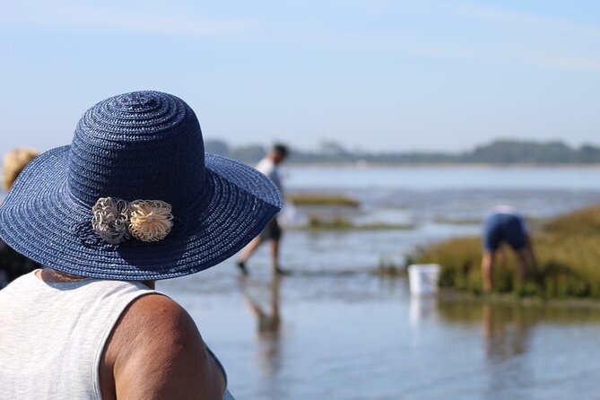 Moliceiro boat trip, with experience in bivalves harvesting - The Sum Up: Who Will Love This Tour?
