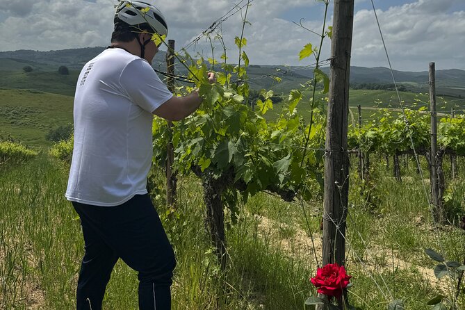 MONTALCINO Essence: Your PRIVAT E-Bike Experience, Top Quality! - Who Should Consider This Tour?
