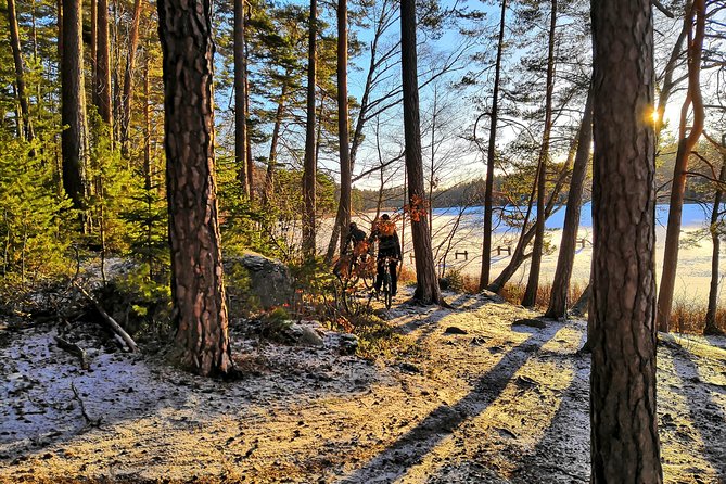 Mountain Biking Small-Group in Stockholm Forests for Beginners - Who Is This Tour Best For?