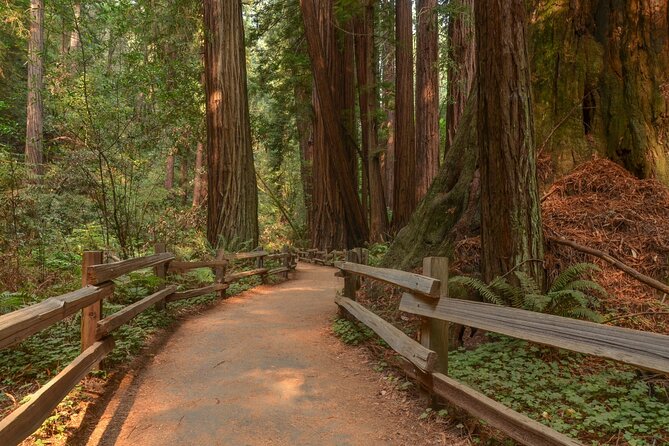 Muir Woods Self-Guided Driving and Walking Audio Tour - Final Thoughts: Is It Worth It?
