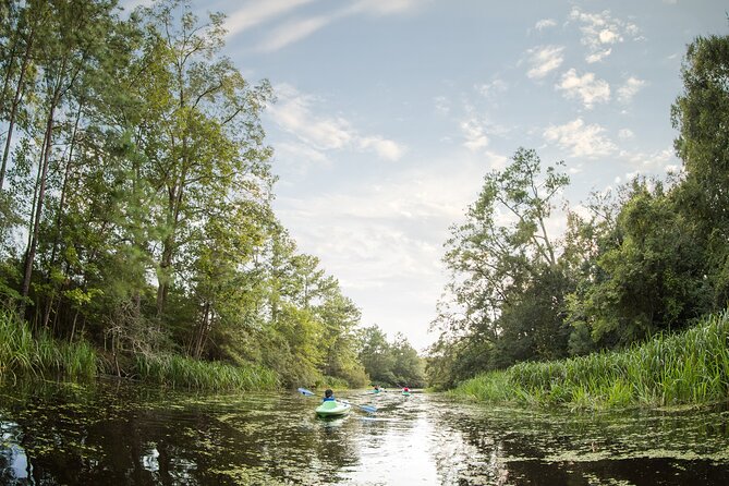 New Orleans Bayou Adventure: Kayak Rental - Cost and Value