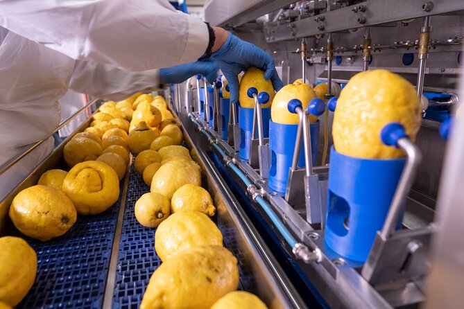 Nonno Mario Sorrento Lemon tour - Authentic, Insightful, and Delightful
