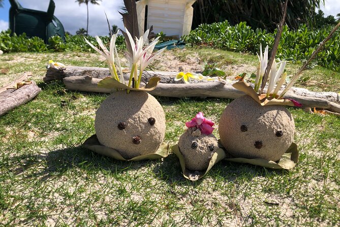 North Shore day,Waterfalls and Turtles Tour - What Reviewers Say
