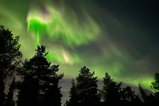 Northern Light hunt with minibus to Abisko 7:30 pm - Final Thoughts