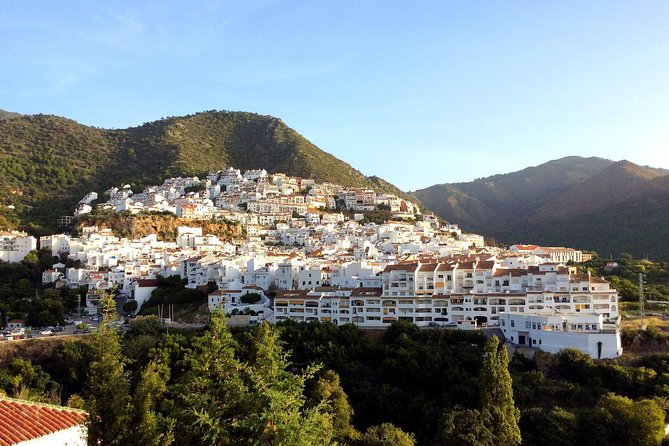 Ojen private walking tour by Tours in Malaga - Practical Tips for Your Visit  