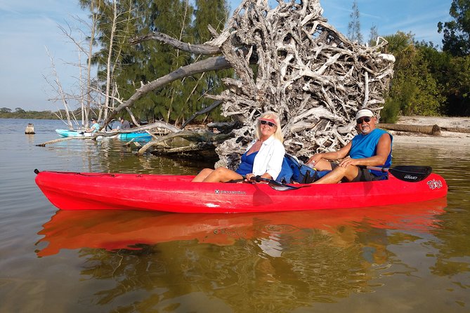 One Single Kayak Rental for 2 hours with Manatee & Dolphin sightings! - Is This Tour Right for You?
