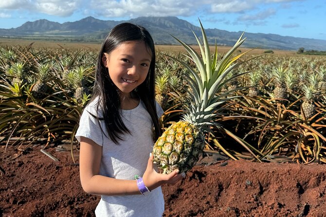 Pearl Harbor and Circle Island Tour - Authentic Traveler Insights
