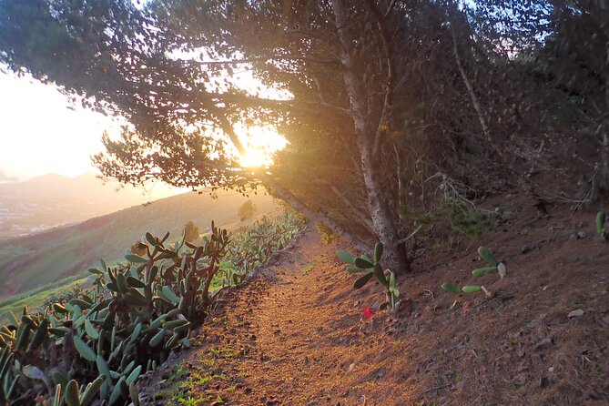 Pico do Facho Panoramic Trail - FAQ