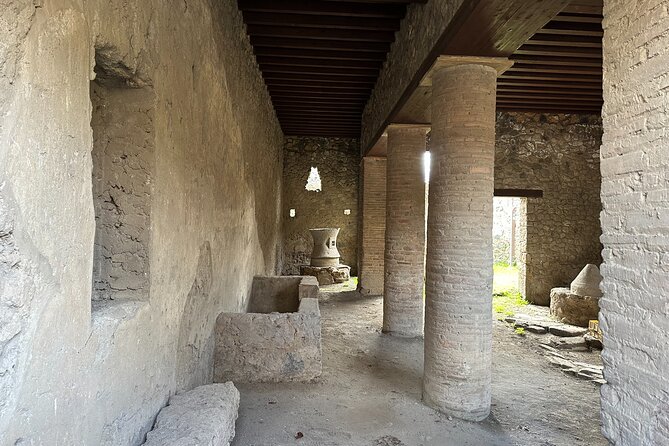 Pompeii Guided Tour from Naples with Transport and Entrance Included - The Highlights and Possible Drawbacks