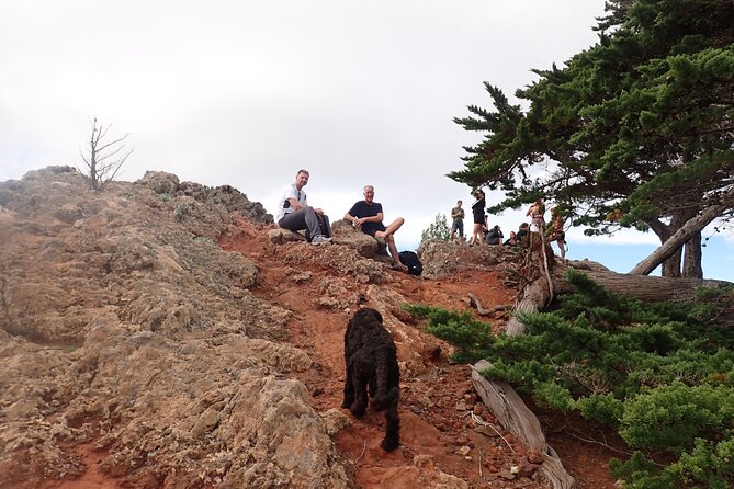 Porto Santo - Terra Chã Hiking Tour - Who Will Love This Tour?