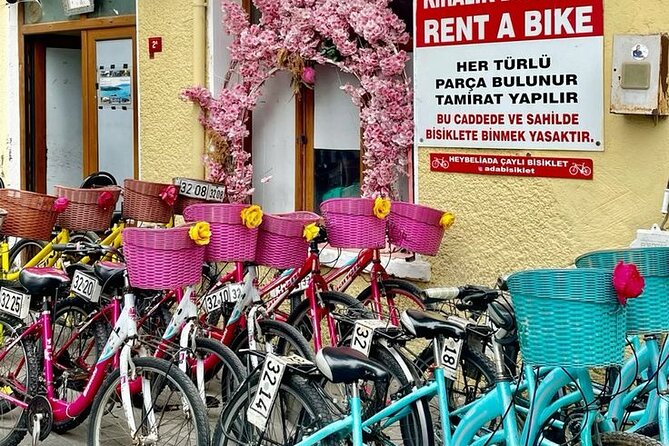 Princess Islands Daily Tour from Istanbul - Who Would Enjoy This Experience?