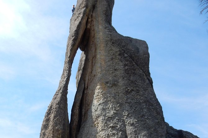 Private 5 Hour Black Hills Tour with Local Experts - Who Should Book This Tour?