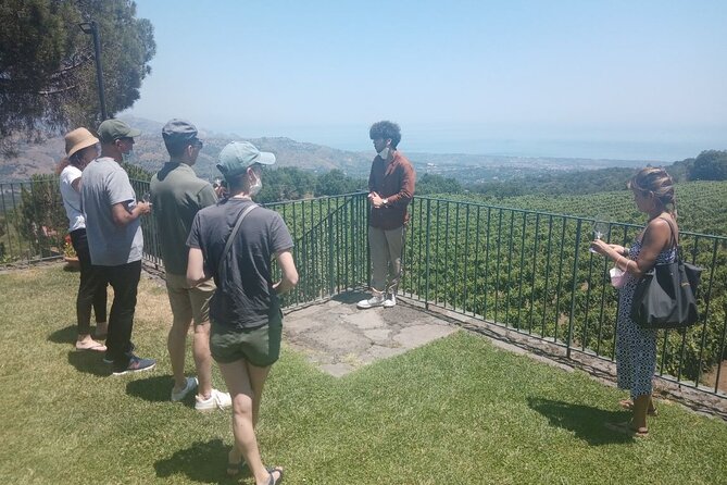 Private 8-Hour Tour of Four Etna Wineries with Tasting - Who Is This Tour Perfect For?