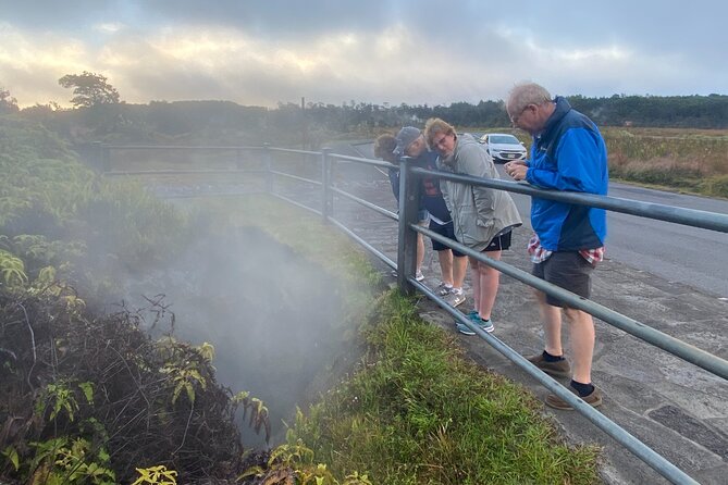 Private Big Island Customizable 14 person Tour/Chauffeur Service - Practical Details and Booking Tips