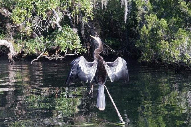 Private Chassahowitzka River Exploration kayak tour - The Value Proposition