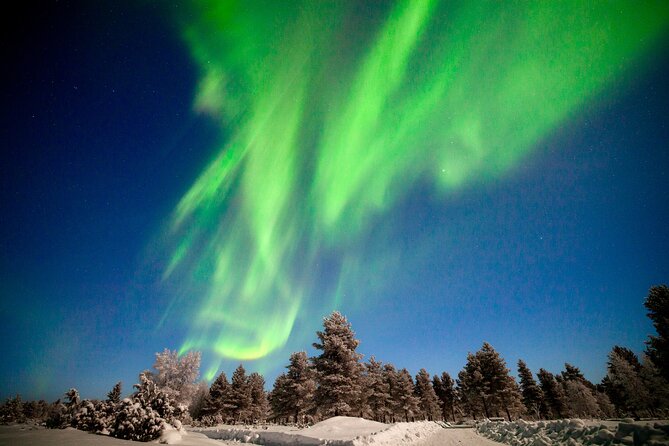 Private Group: Northern Lights Hunt 4x4 SUV with Aurora guarantee - Real Traveler Insights and Reviews