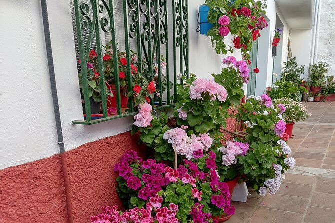Private half-day tour of Ronda and the White Villages with native - Who Should Consider This Tour?  