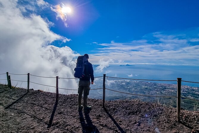 Private Pompeii, Herculaneum & Vesuvius Adventure: Wine & Lunch. - Final Thoughts