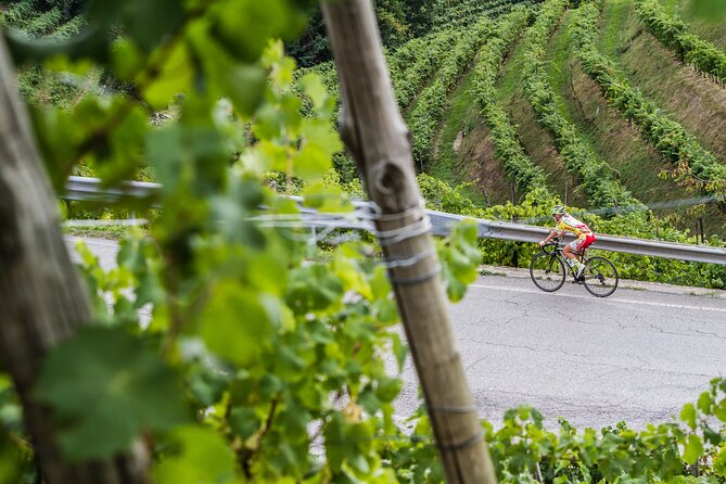 Private Prosecco Tour, with a certified Sommelier - FAQ