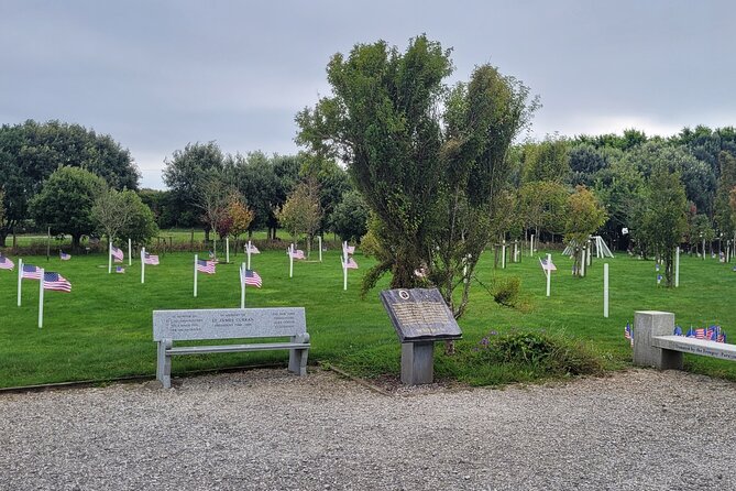 Private Taxi Tour of Blarney Castle ,Cork ,Kinsale 5 Star Rated - Who Is This Tour Best For?