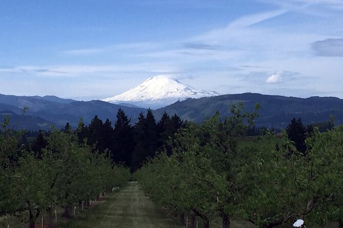 Private Tour at The Hood-Columbia Loop: Timberline, Orchards, and Waterfalls - The Sum Up