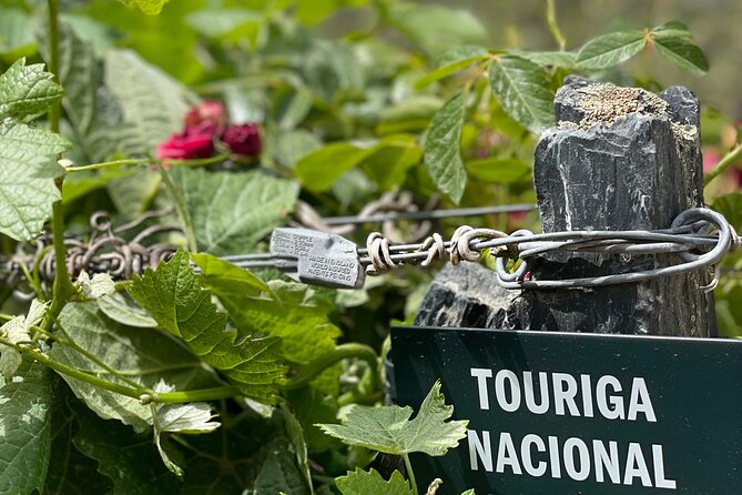 Private Tour From Porto To Douro Valley With River Boat Ride - FAQ