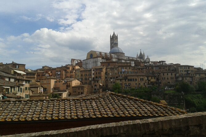 Private Tour: Siena Walking Tour - The Sum Up