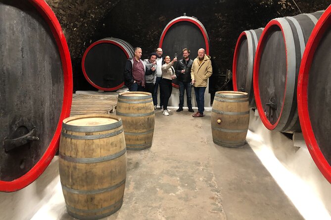 Private wine, food & heritage tour from Prague to Bohemia - Who This Tour is Best For