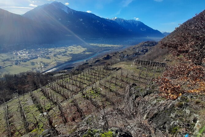 Private Wine Tour: Terraced Vineyards with Alpine view from Milan - Practical Tips for Travelers